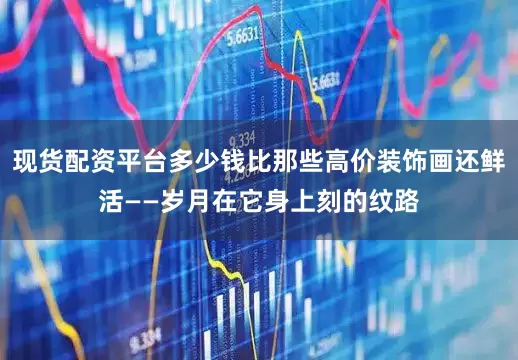 现货配资平台多少钱比那些高价装饰画还鲜活——岁月在它身上刻的纹路