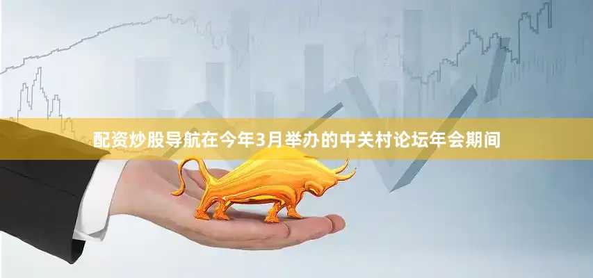 配资炒股导航在今年3月举办的中关村论坛年会期间