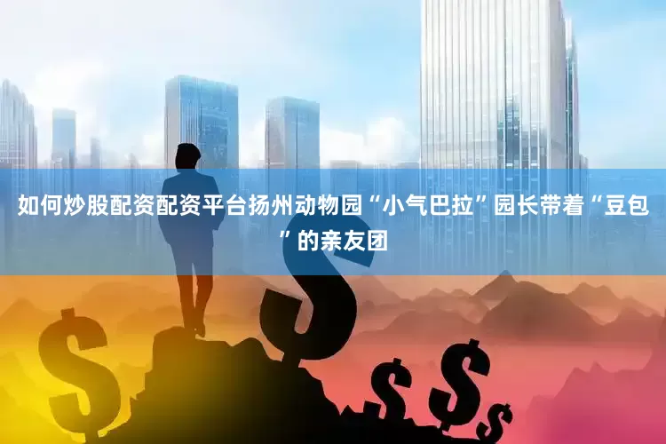如何炒股配资配资平台扬州动物园“小气巴拉”园长带着“豆包”的亲友团