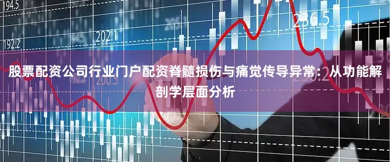 股票配资公司行业门户配资脊髓损伤与痛觉传导异常：从功能解剖学层面分析