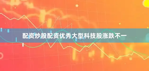 配资炒股配资优秀  大型科技股涨跌不一
